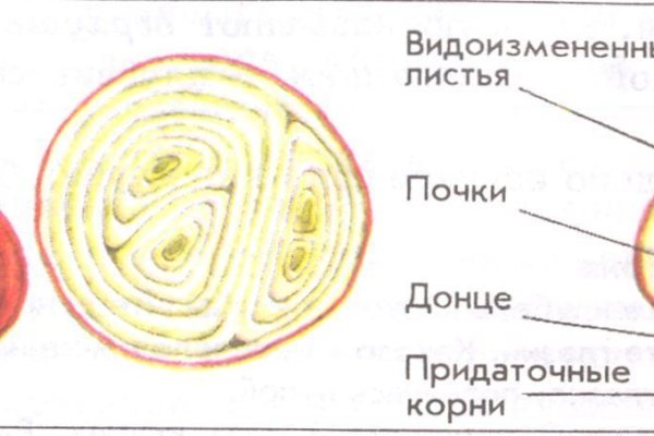 Ссылка на сайт кракен в тор