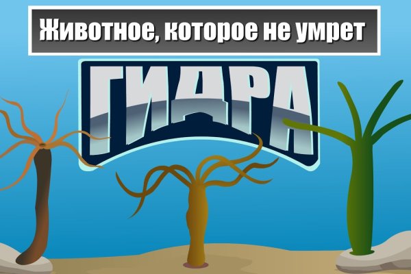 Кракен дарк шоп